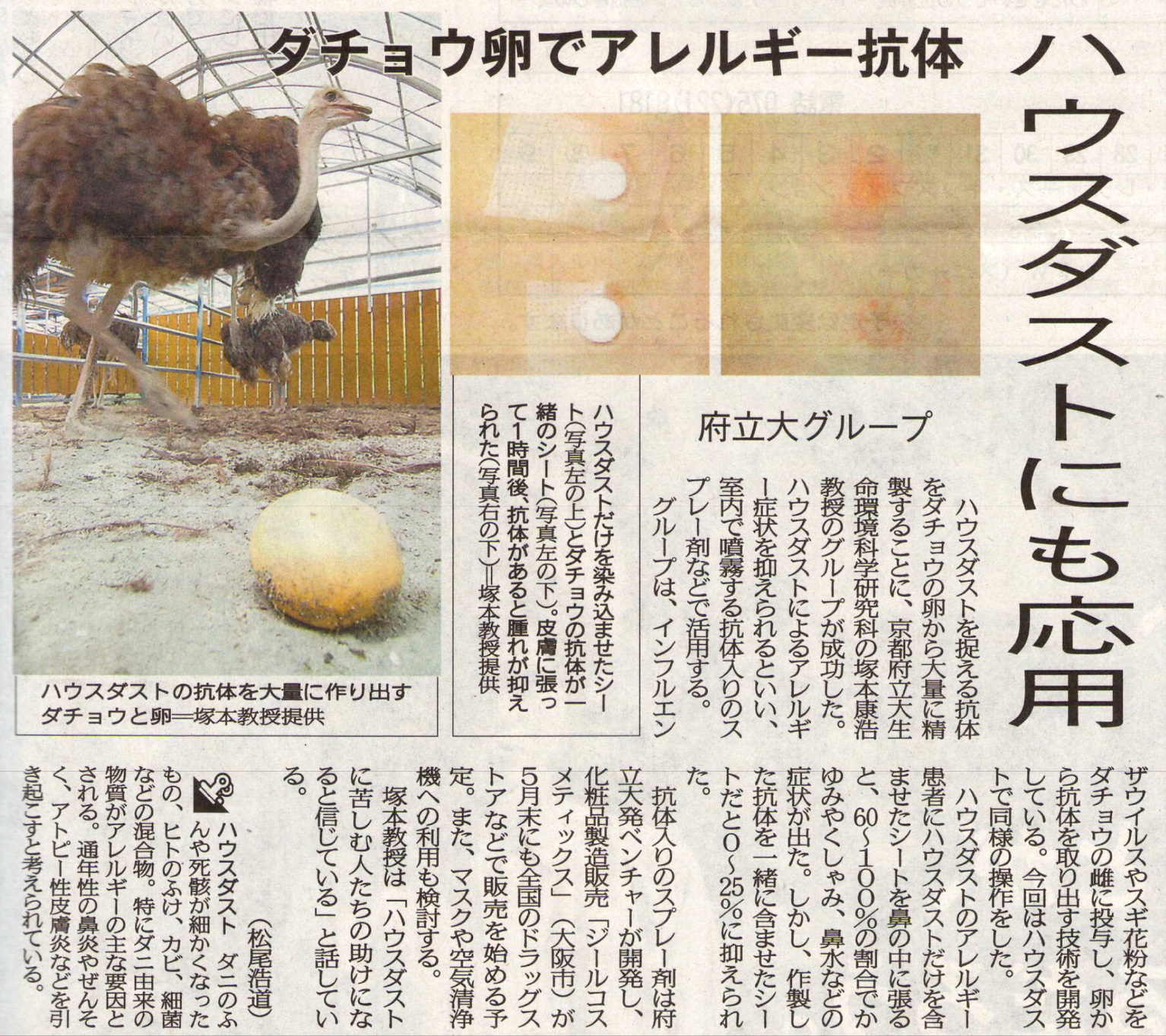 新聞記事 切り抜き